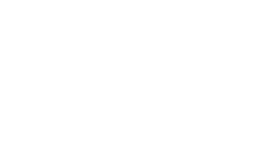 Aurison logo